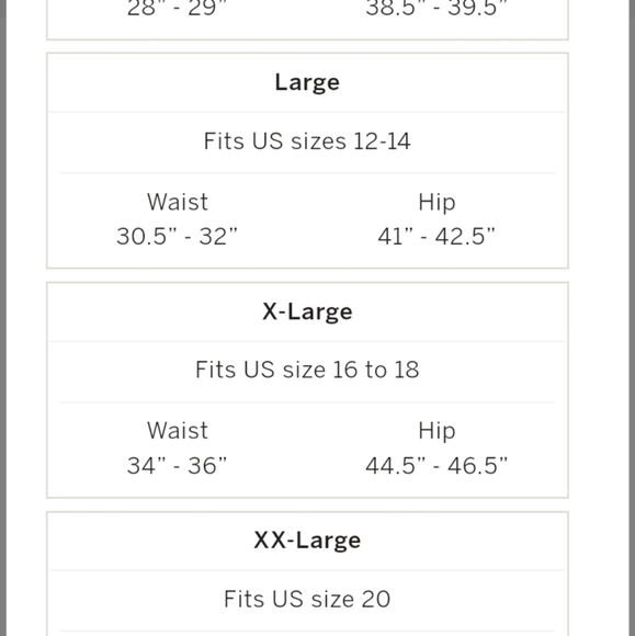 Victoria secret floral embroidery waist cincher new in package M/L - Picture 7 of 8